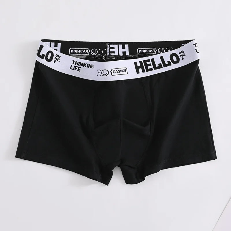 Men's Boxer Panties Man Underwear Boxers Comfortable Men Cotton Underpants Soft Calzoncillos Breathable Male Boxershorts