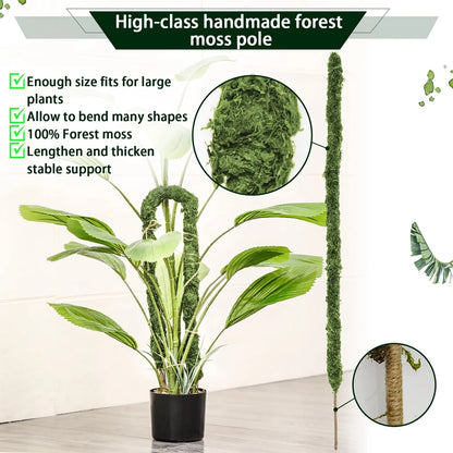 Wholesale Moss Pole Bendable Plant Stakes Handmade Slim Monstera Plant Support Moss Plant Sticks Support for Large Indoor Potted