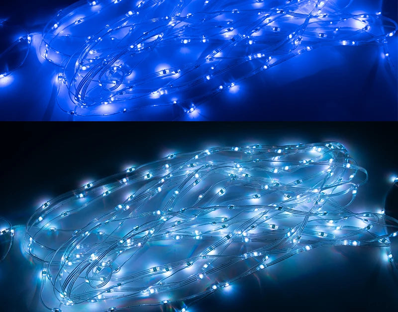 5V 12V WS2811 WS2812 3PIN Clear Lense LED String Lights Dream Color RGBIC Addressable Individually Fairy Seed Pixels Light 