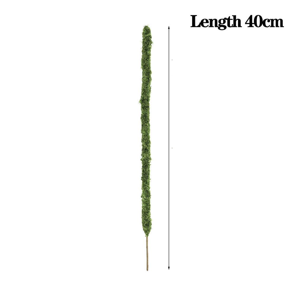 Wholesale Moss Pole Bendable Plant Stakes Handmade Slim Monstera Plant Support Moss Plant Sticks Support for Large Indoor Potted