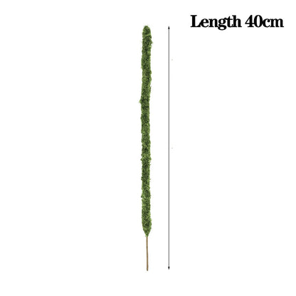 Wholesale Moss Pole Bendable Plant Stakes Handmade Slim Monstera Plant Support Moss Plant Sticks Support for Large Indoor Potted