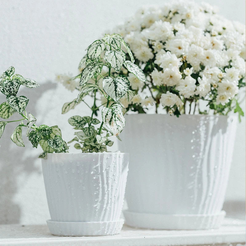 New Plastic Resin Flower Pot Fleshy White Potted Cactus Ball With Tray flowerpotS