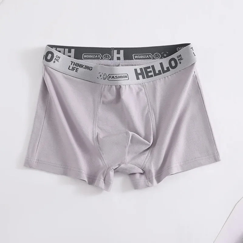 Men's Boxer Panties Man Underwear Boxers Comfortable Men Cotton Underpants Soft Calzoncillos Breathable Male Boxershorts