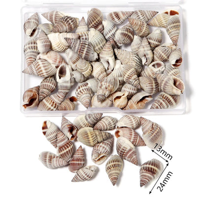 Louleur Boxed Natural Shell Conch Beads Undrilled Ocean Series Crafts Ornaments Decoration Prop for Jewelry Making DIY Bracelet