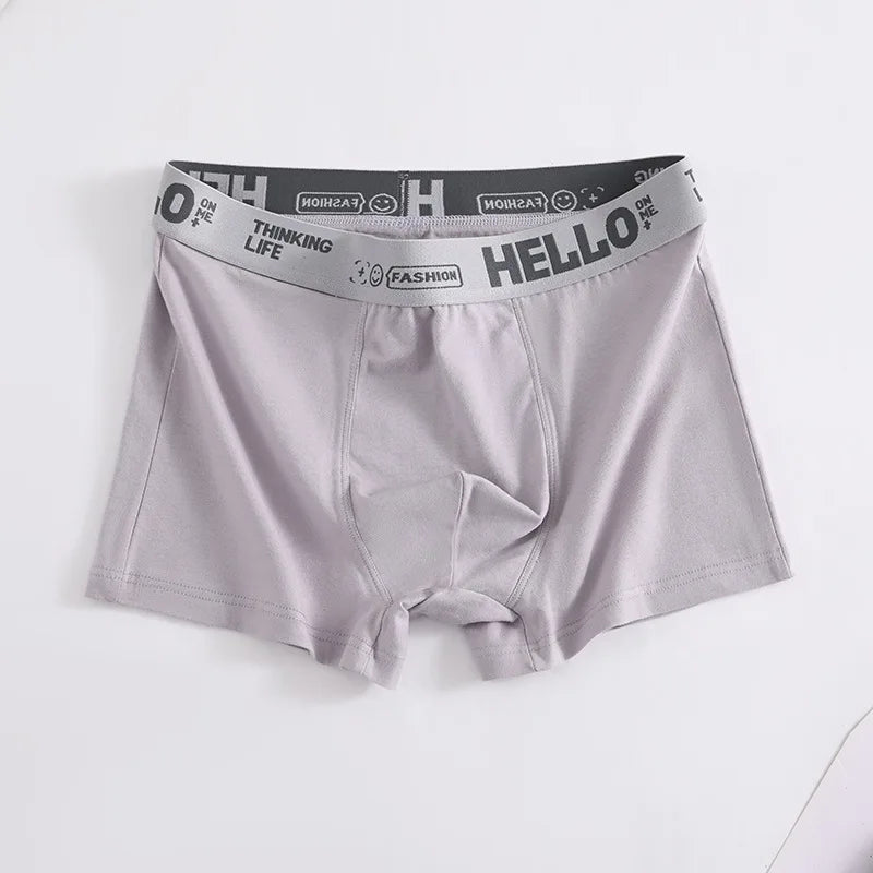 Men's Boxer Panties Man Underwear Boxers Comfortable Men Cotton Underpants Soft Calzoncillos Breathable Male Boxershorts