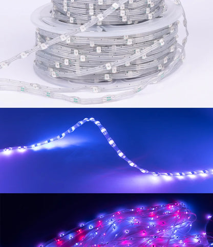 5V 12V WS2811 WS2812 3PIN Clear Lense LED String Lights Dream Color RGBIC Addressable Individually Fairy Seed Pixels Light 