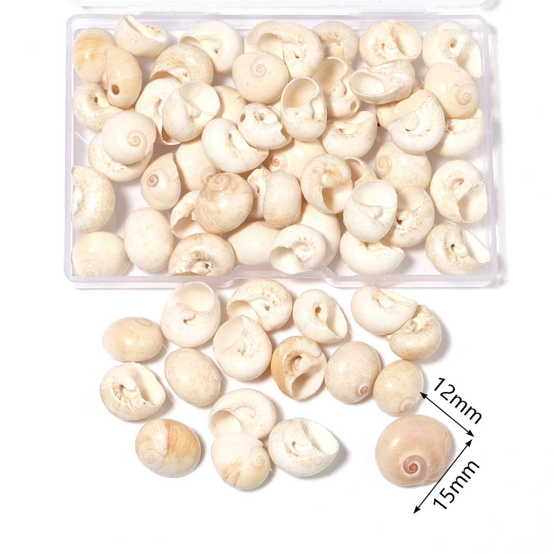 Louleur Boxed Natural Shell Conch Beads Undrilled Ocean Series Crafts Ornaments Decoration Prop for Jewelry Making DIY Bracelet