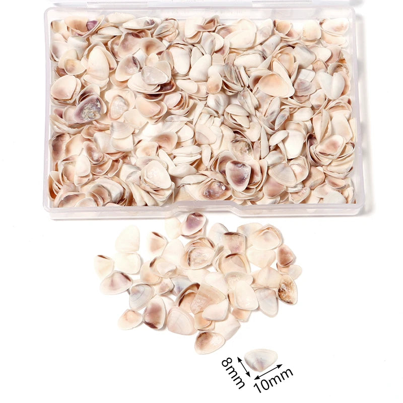 Louleur Boxed Natural Shell Conch Beads Undrilled Ocean Series Crafts Ornaments Decoration Prop for Jewelry Making DIY Bracelet