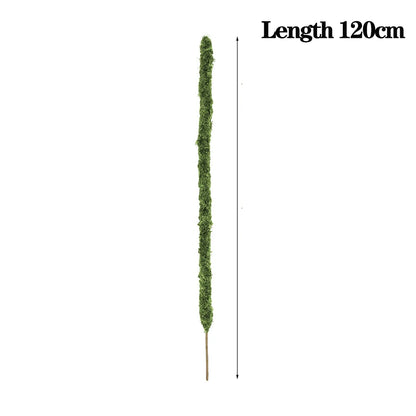 Wholesale Moss Pole Bendable Plant Stakes Handmade Slim Monstera Plant Support Moss Plant Sticks Support for Large Indoor Potted