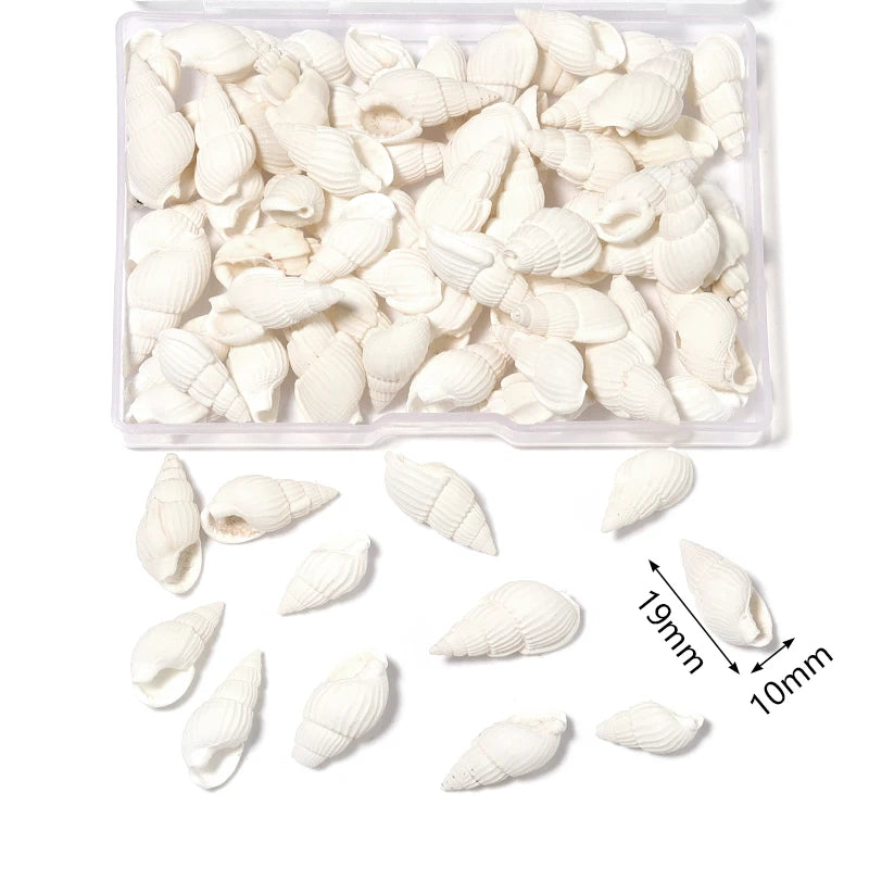 Louleur Boxed Natural Shell Conch Beads Undrilled Ocean Series Crafts Ornaments Decoration Prop for Jewelry Making DIY Bracelet