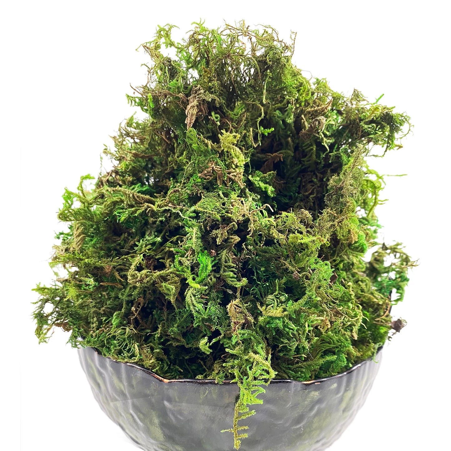 Artificial Moss Green for Potted Plant Orchid Potting Mix Peat Moss Pole Craft