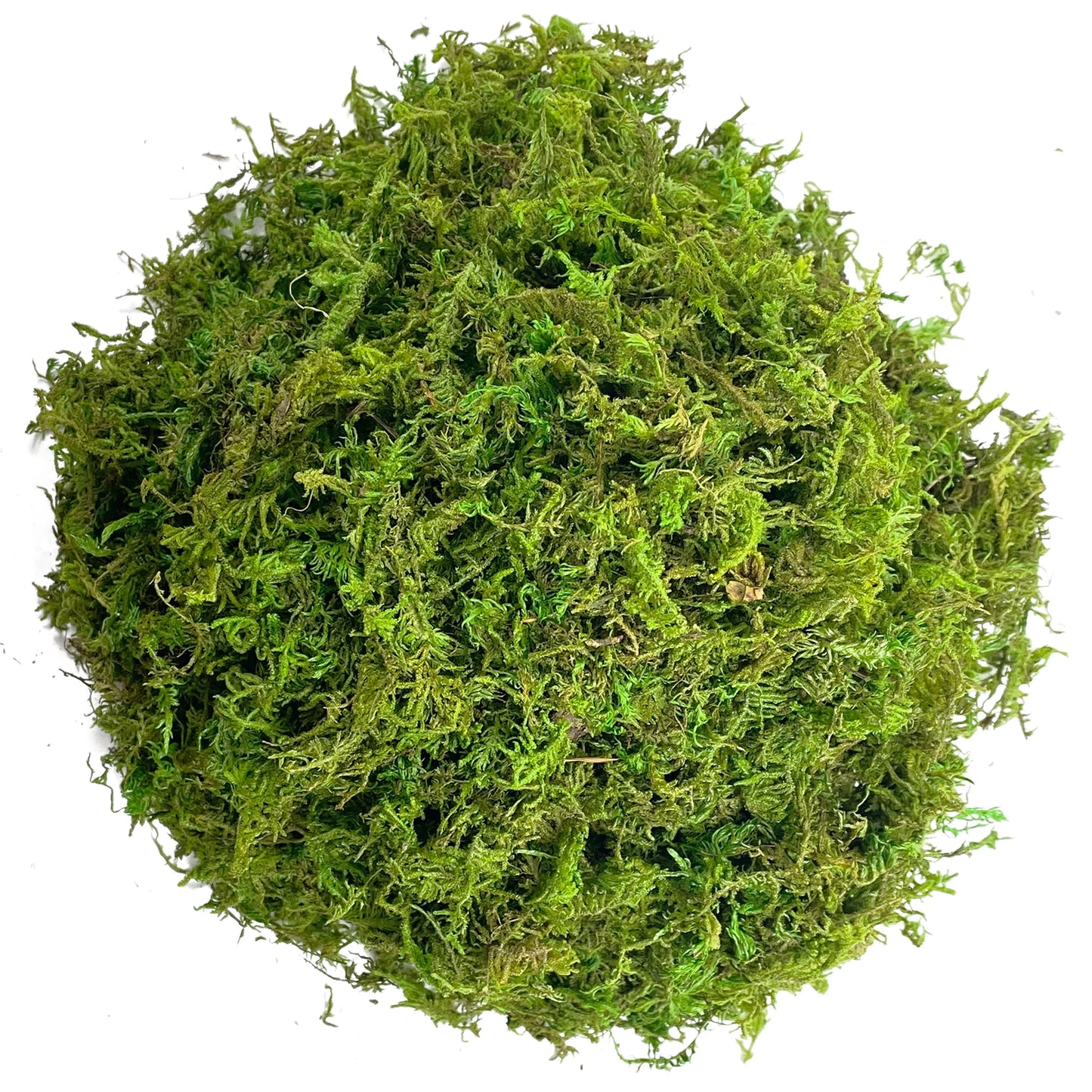 Artificial Moss Green for Potted Plant Orchid Potting Mix Peat Moss Pole Craft