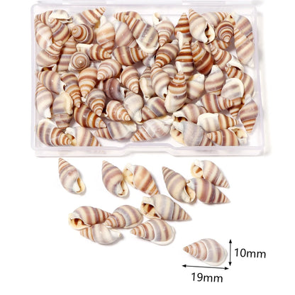 Louleur Boxed Natural Shell Conch Beads Undrilled Ocean Series Crafts Ornaments Decoration Prop for Jewelry Making DIY Bracelet