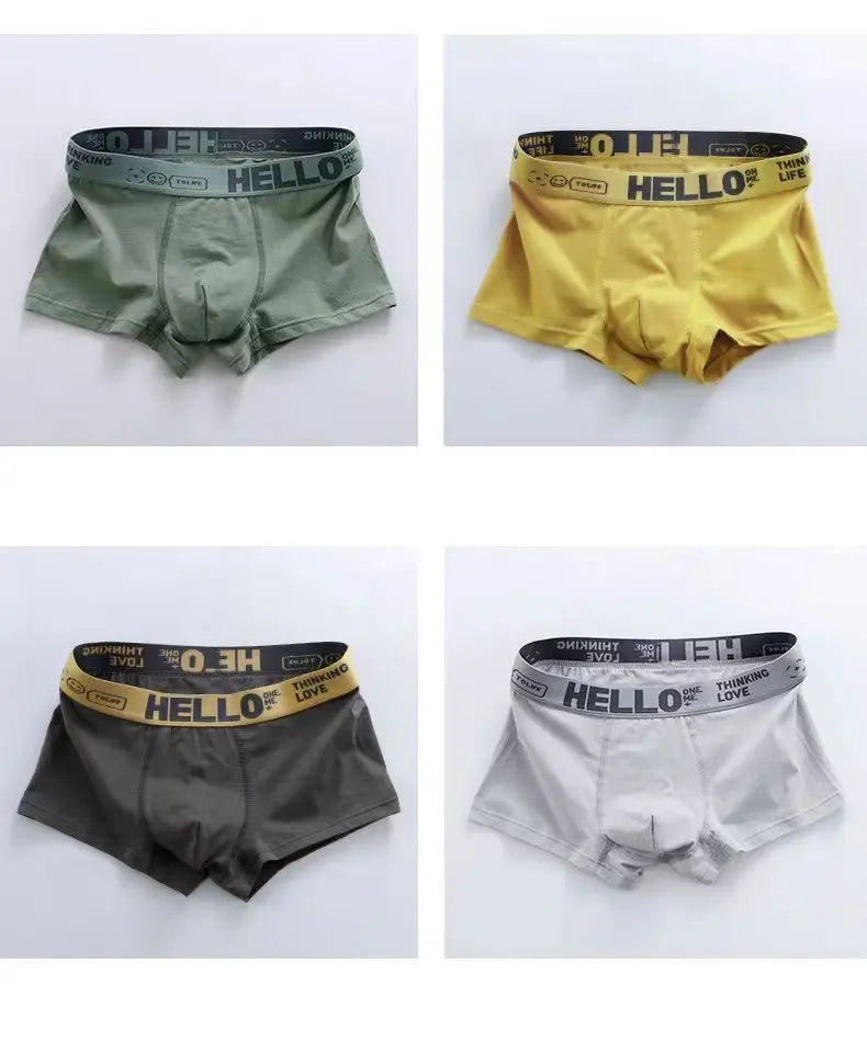 Men's Boxer Panties Man Underwear Boxers Comfortable Men Cotton Underpants Soft Calzoncillos Breathable Male Boxershorts